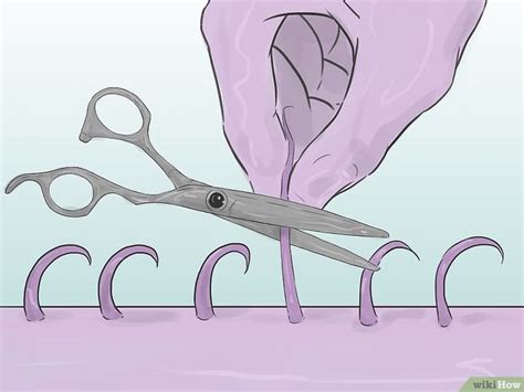 bald pusses|How to Shave Your Pubic Hair: 13 Steps (with Pictures) .